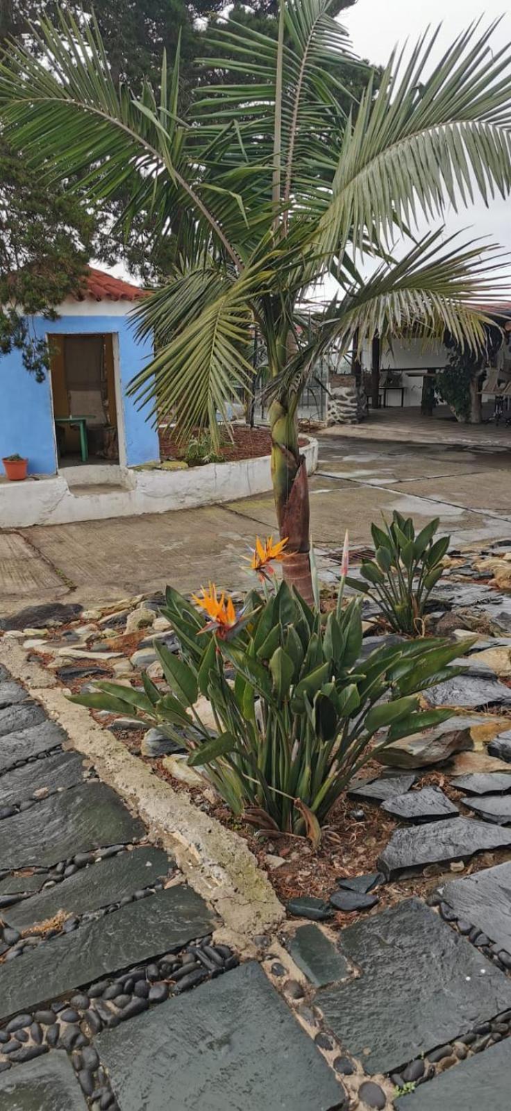Casa La Caldera Villa Firgas Room photo